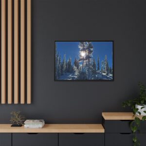 Canvas Photography Prints by Mark Urich