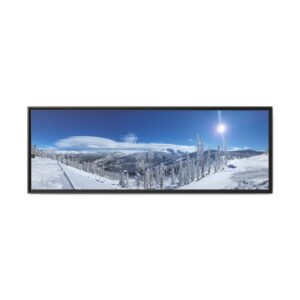 Parry's Peak & Bear Claw Matte Canvas Print (Framed) - Winter Park Bluebird Day