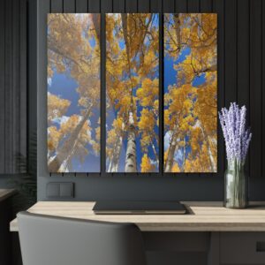 ASPENS OVER RABBIT EARS | Triptych Acrylic Wall Art