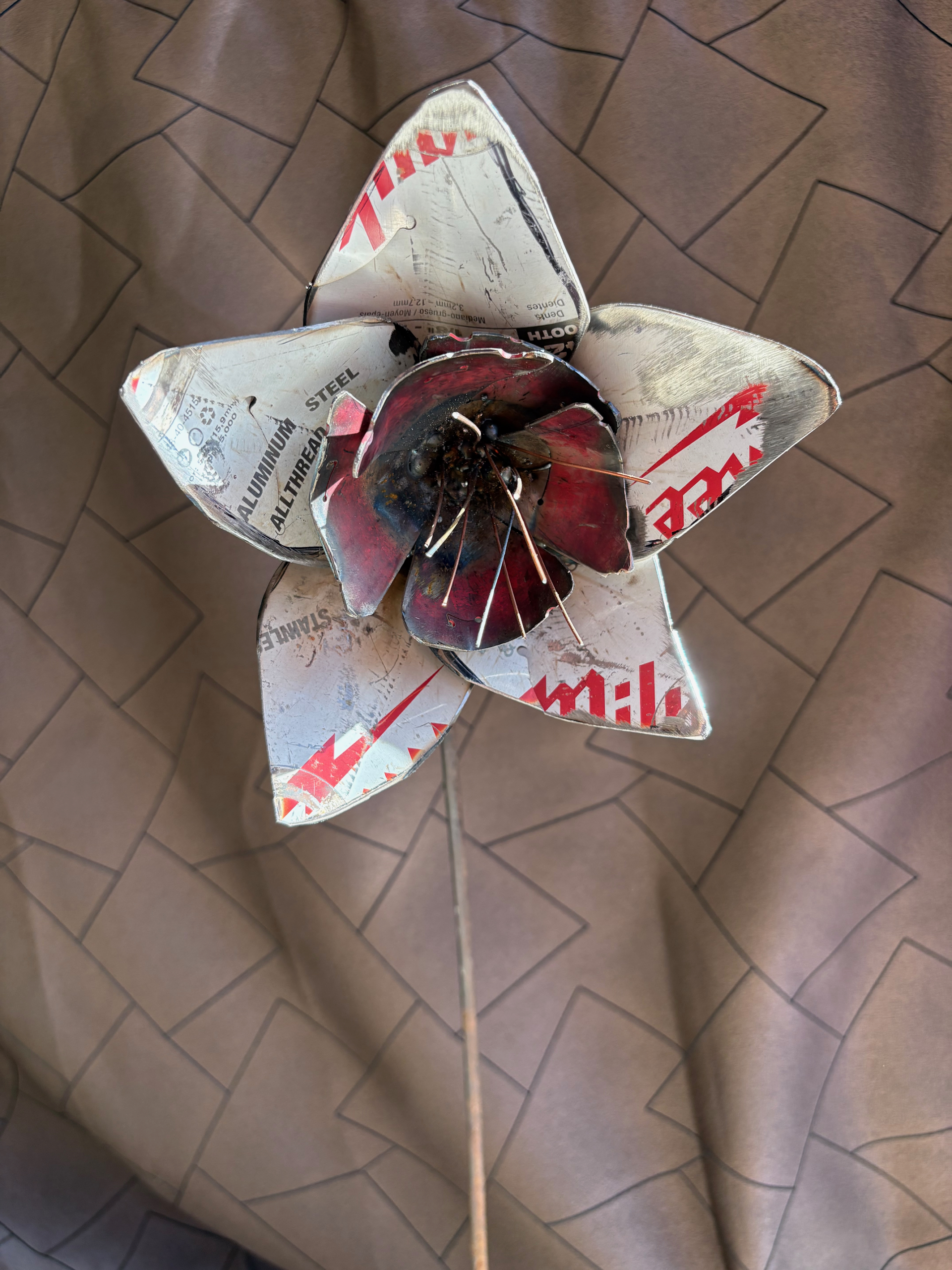 ColoRADo Columbine - Image 4