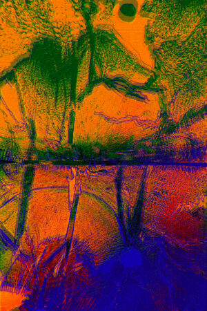 trippy AF bursts of color and a bit blurry, like the mushrooms just kicked in and life's going to get weird for the forseeable future. It's f'n cool, Thomas, trust me. Like a mountain scene on acid, there;s an eyeball kinda in the water reflection, kind of Japanese traditional art like of Fiji, but you just ate something from a shaman.